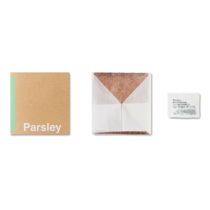 Pflanz-Set "Petersilie" PARSELY - beige-498