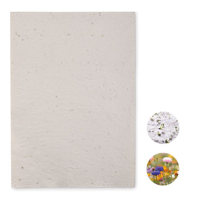 DIN A4 Wildblumen-Samenpapier ASIDI - weiß-531