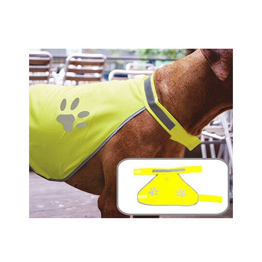 Stretchy Hi-Vis Safety Vest For Dogs Buenos Aires - signal yellow-524