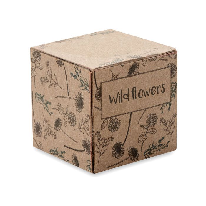 Saat-Set Wildblumen BOMBI - beige-758