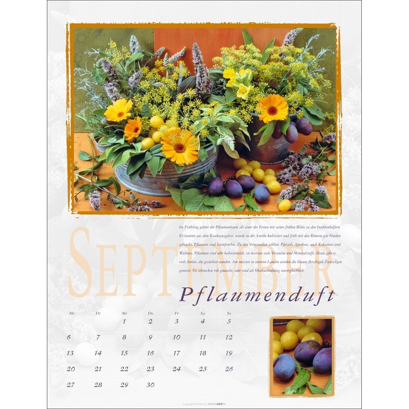 Duftkalender-440