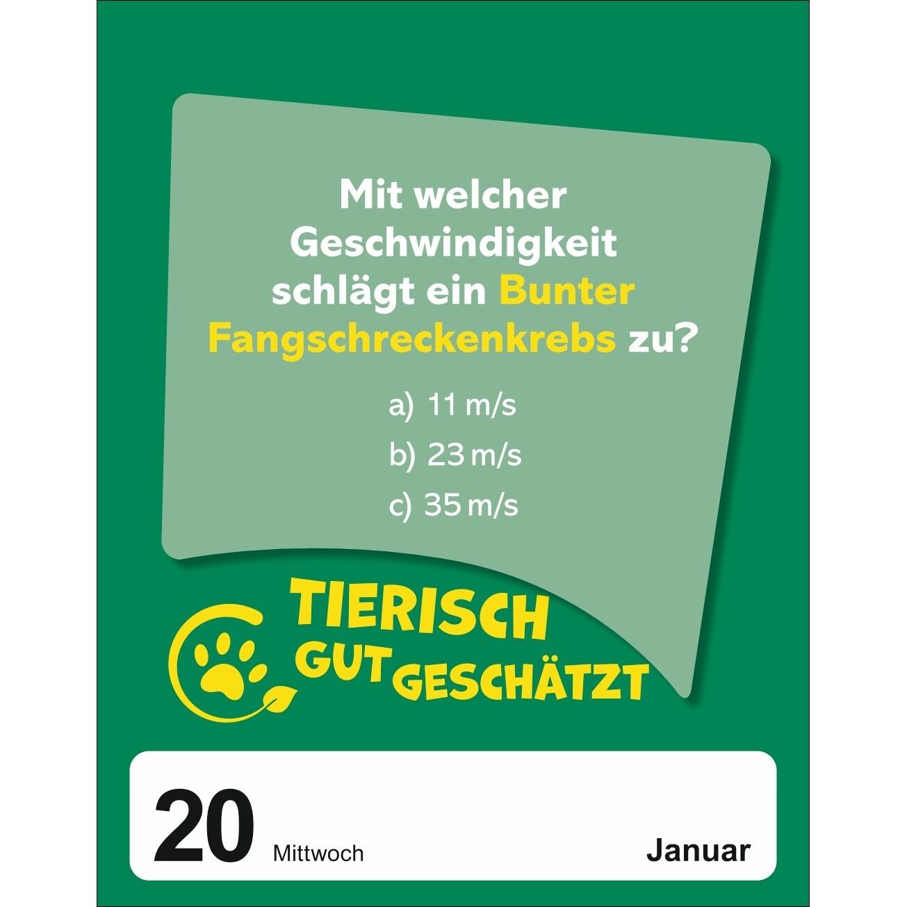 Was schätzt du denn? Tagesabreißkalender-251