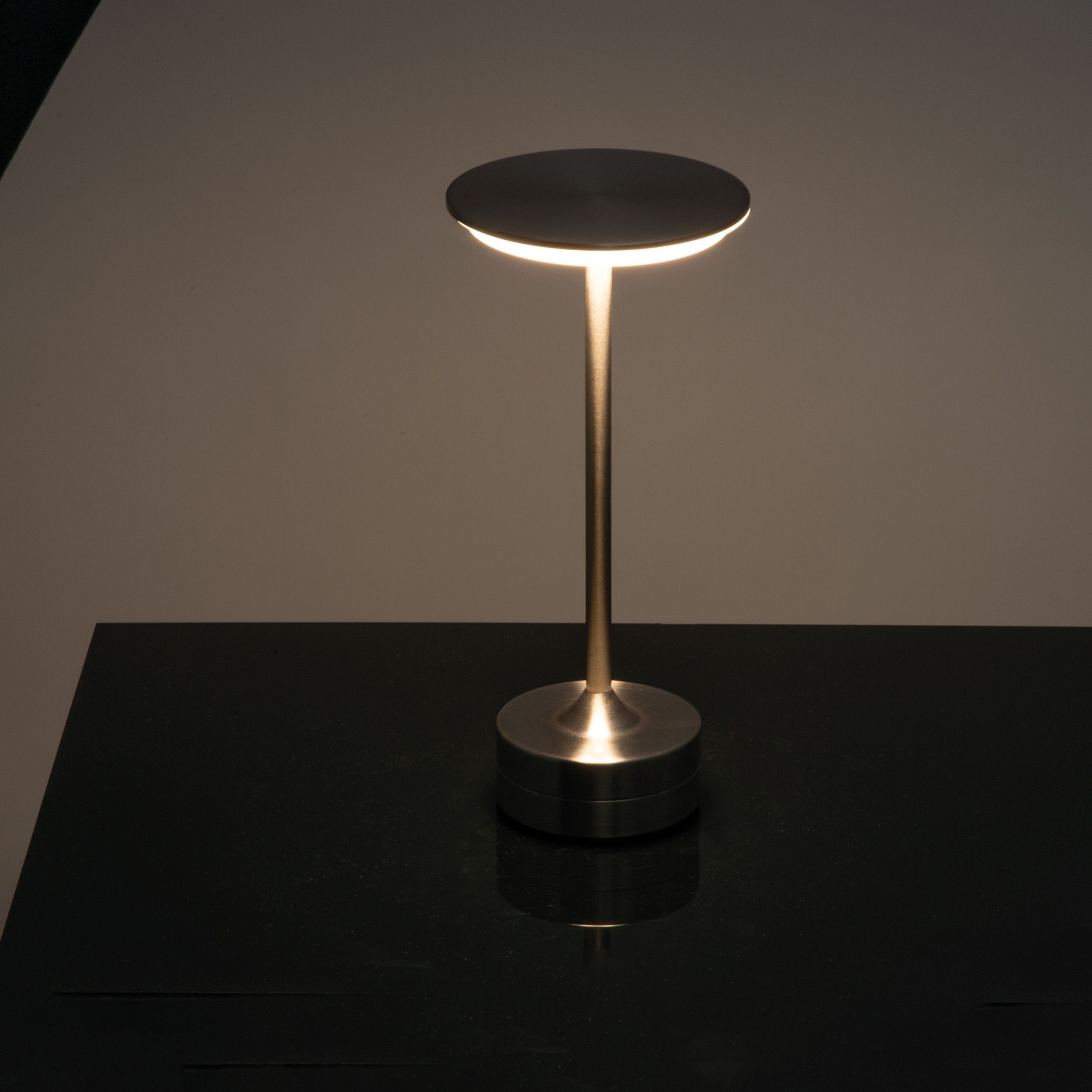 Tischlampe aus Edelstahl - silbergrau-889