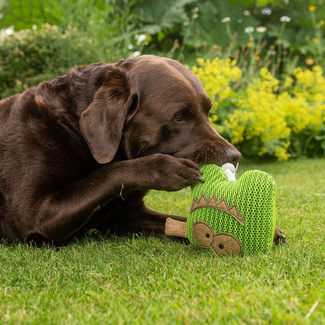 MiniFeet® Hundespielzeug Gespenst - grün-700