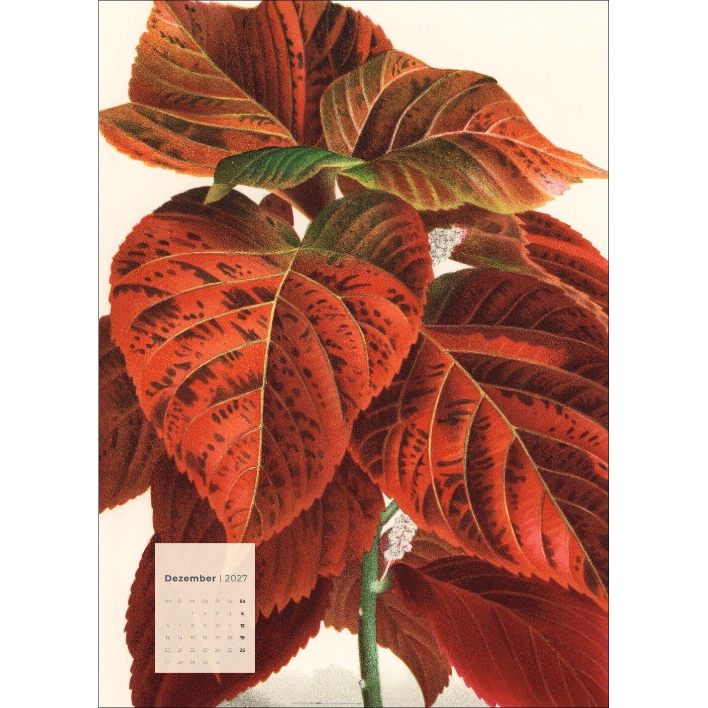 Botanicals - Kunst & Kultur Kalender-470