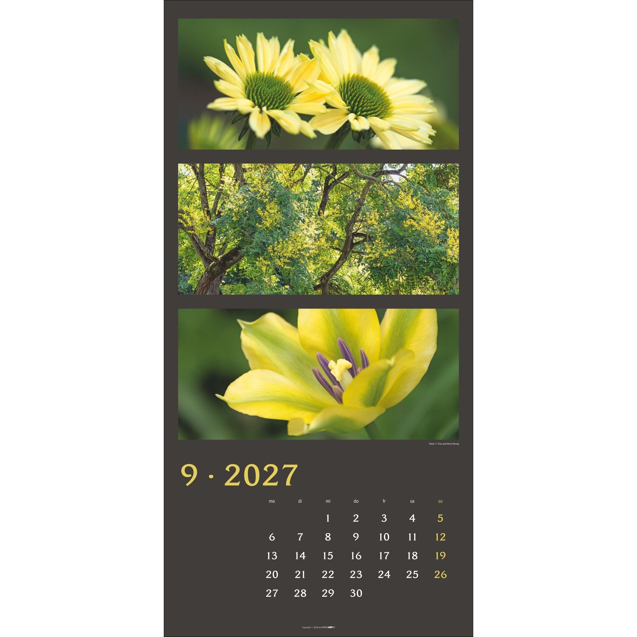 Die Farben der Natur - Landschaft & Natur Kalender-675