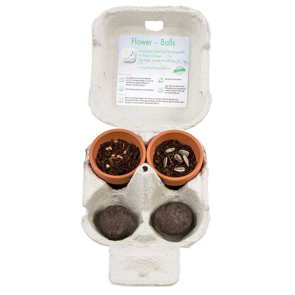 Das Grüne vom Ei - Green-Mix Box - Sonnenblume-966