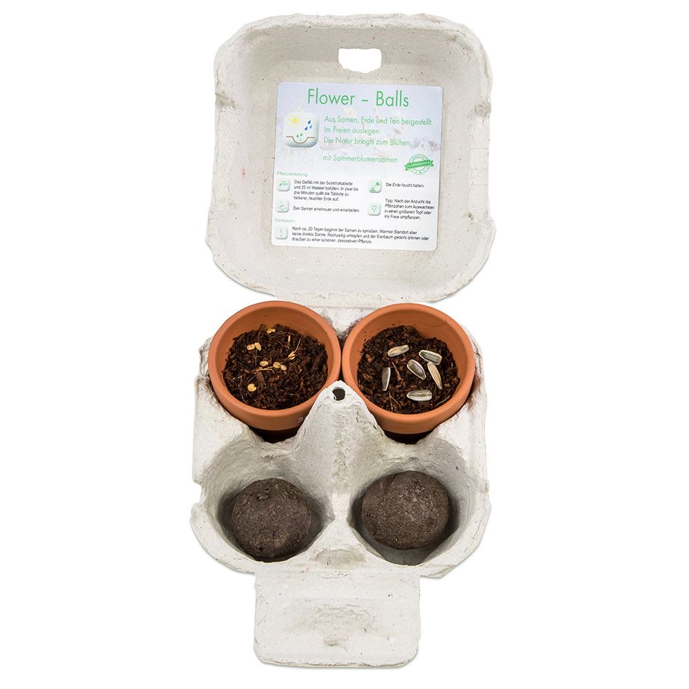 Das Grüne vom Ei - Green-Mix Box - Sonnenblume-966