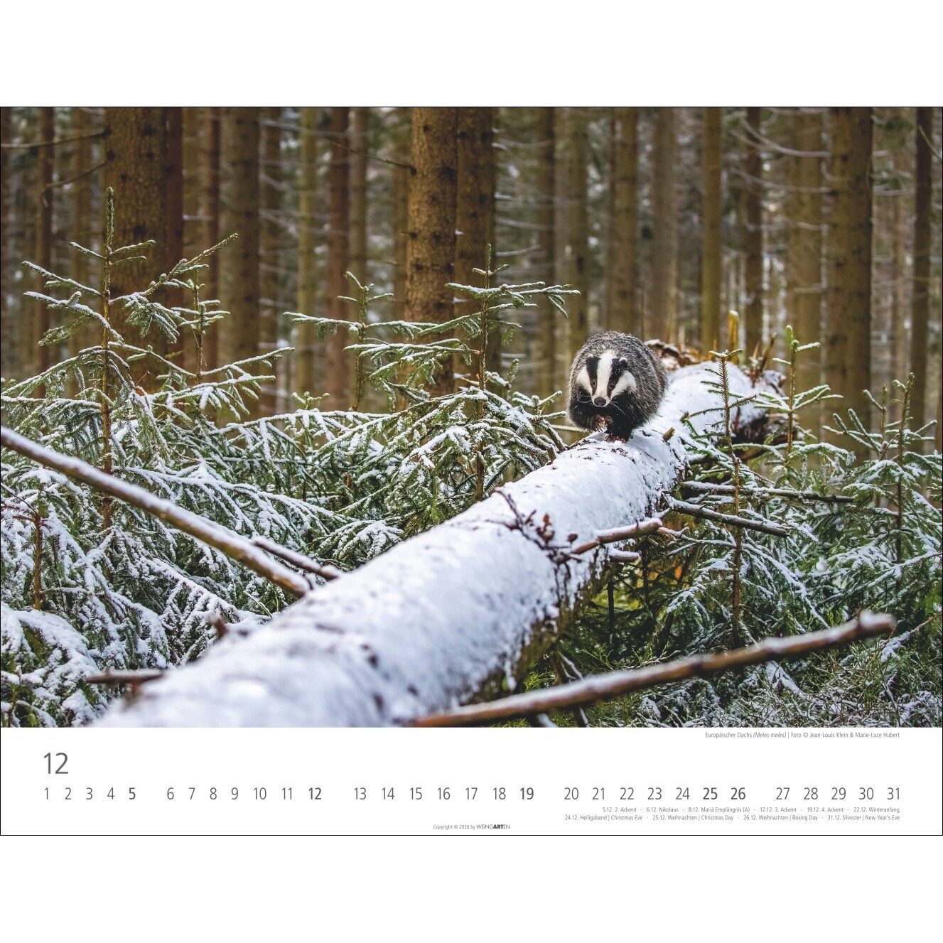 Heimische Wildtiere - Landschaft & Natur Kalender-559