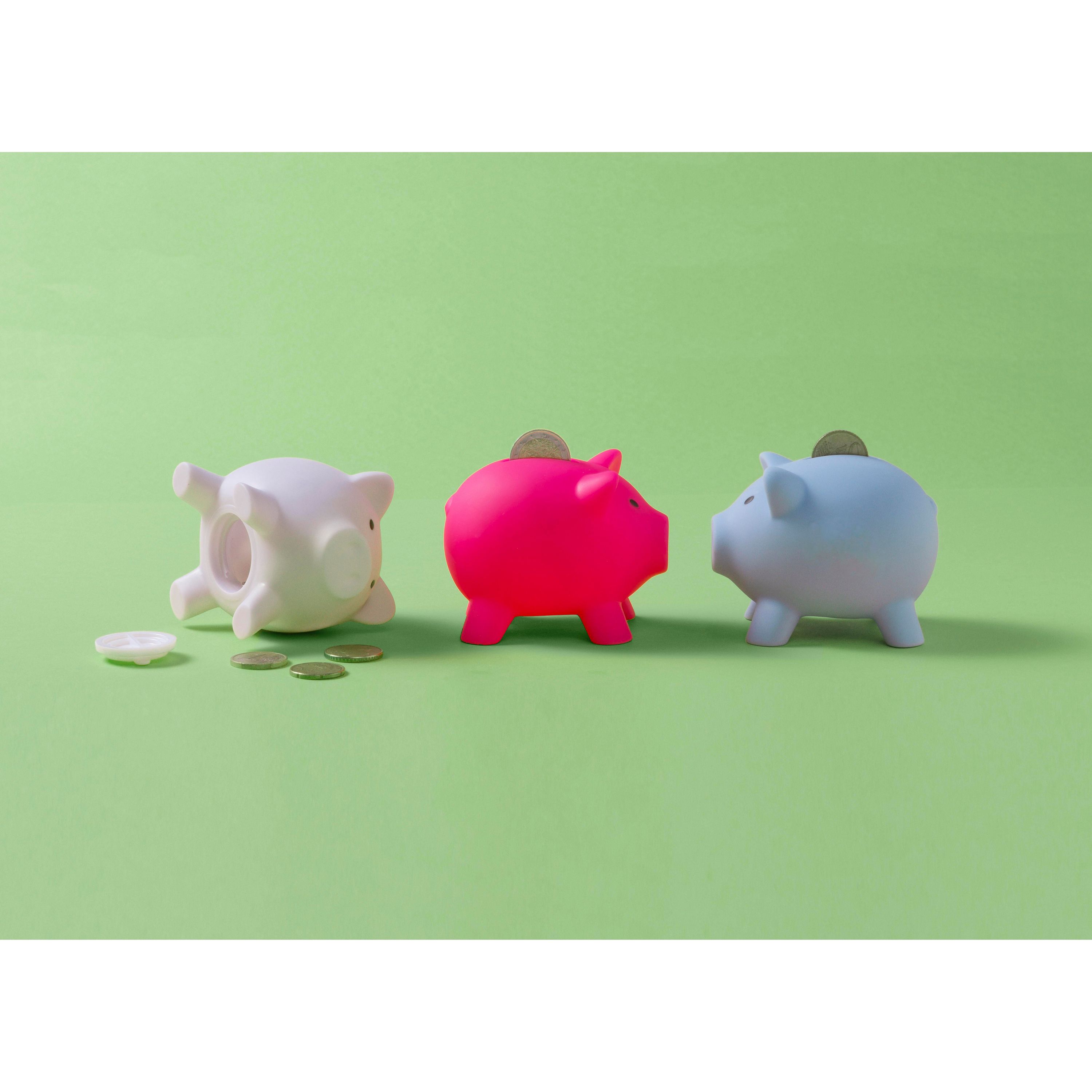 Sparschwein aus Kunststoff Roger - weiß-259