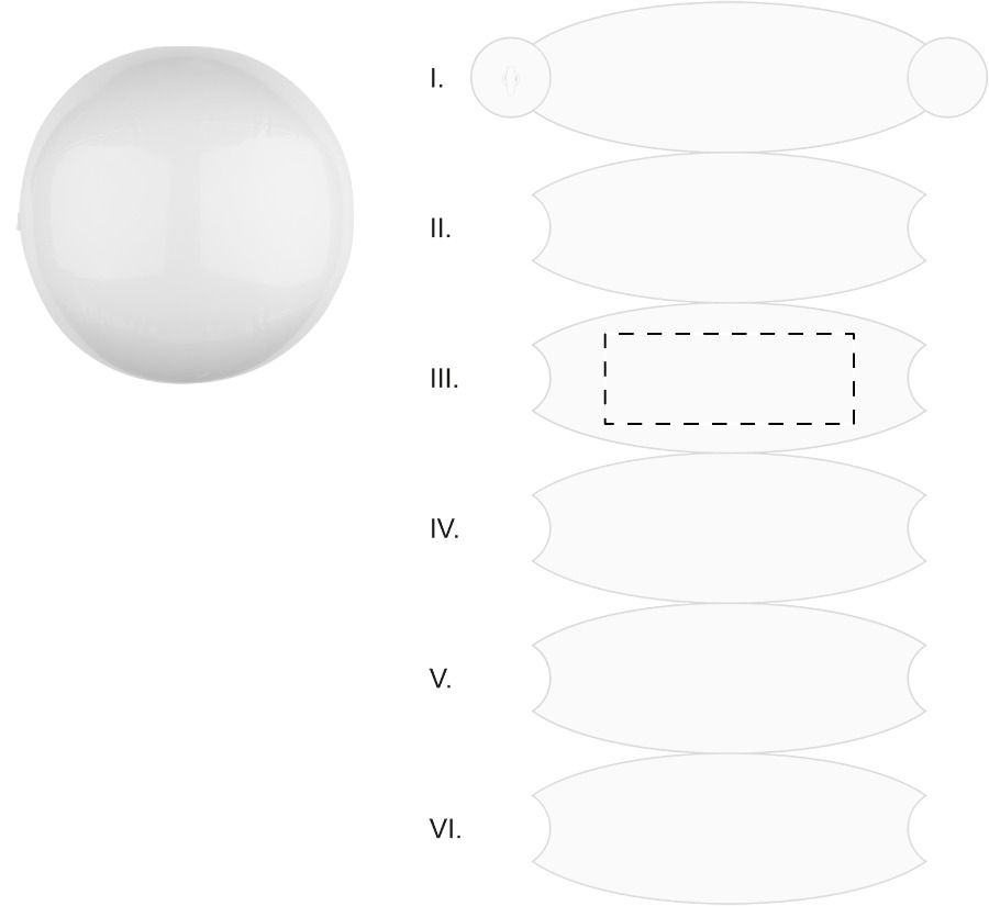 Veredelungsposition Segment 3