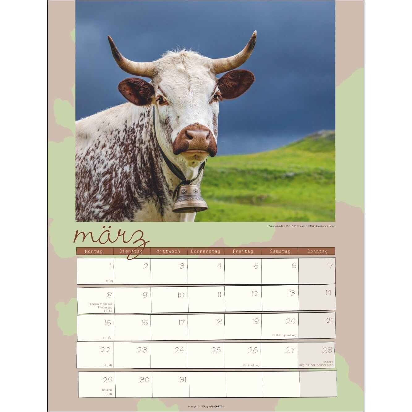 Kuh Kalender-50