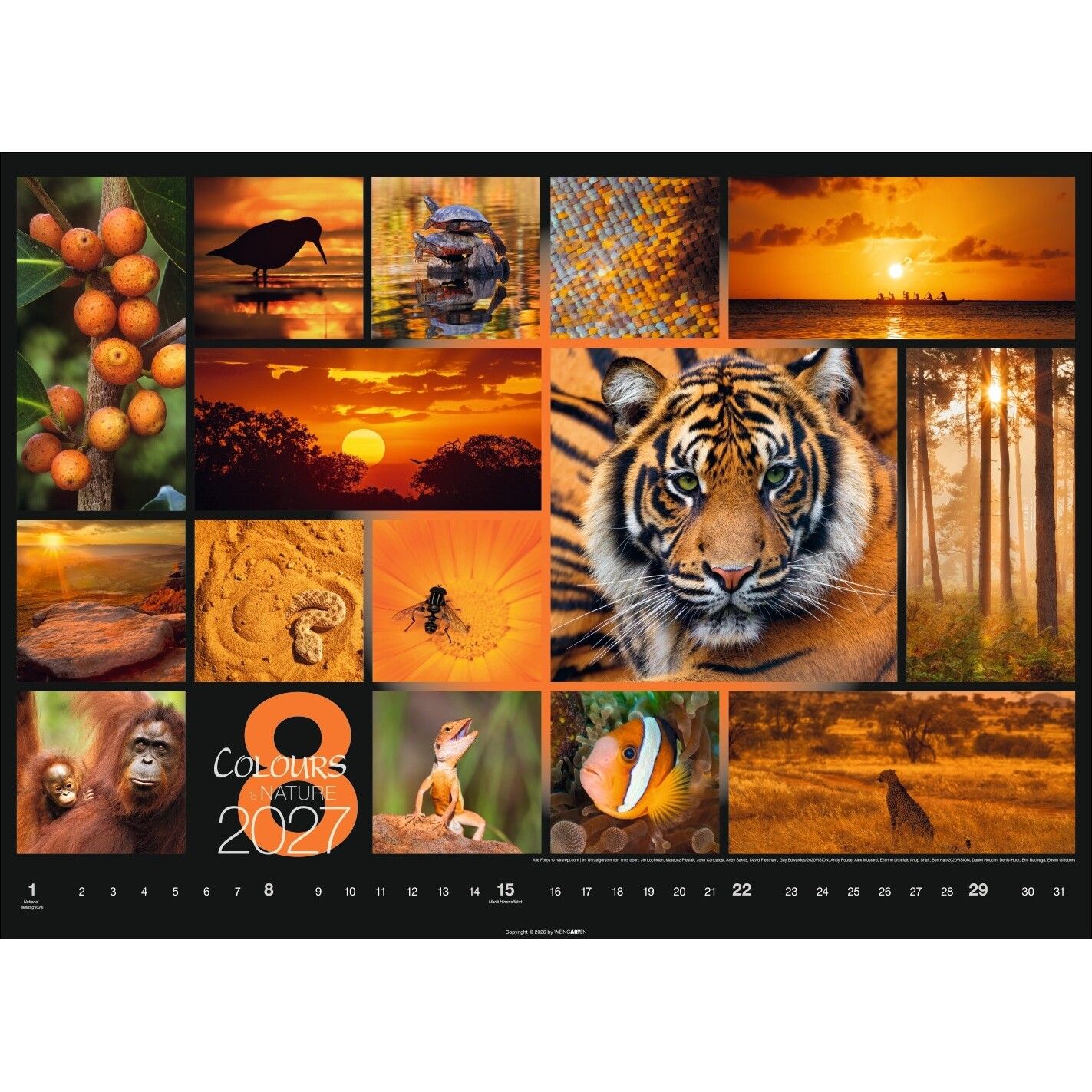 Colours of Nature - Landschaft & Natur Kalender-506