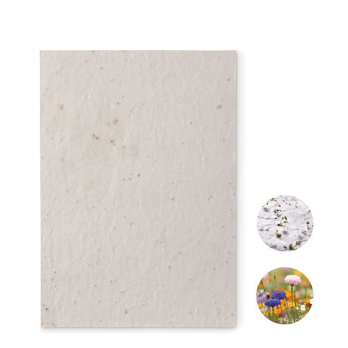 DIN A5 Wildblumen-Samenpapier ASIDE - weiß-245