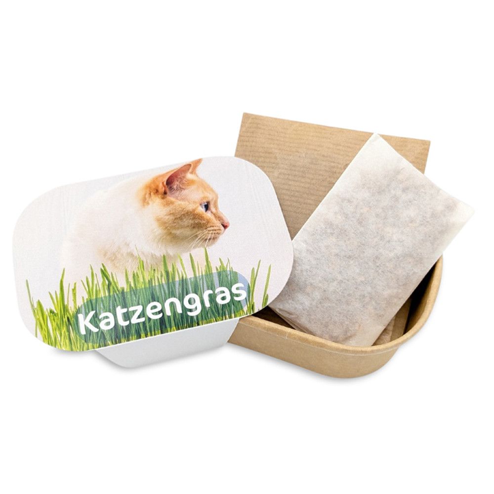 Katzengras Pflanzset - Katzengras-71