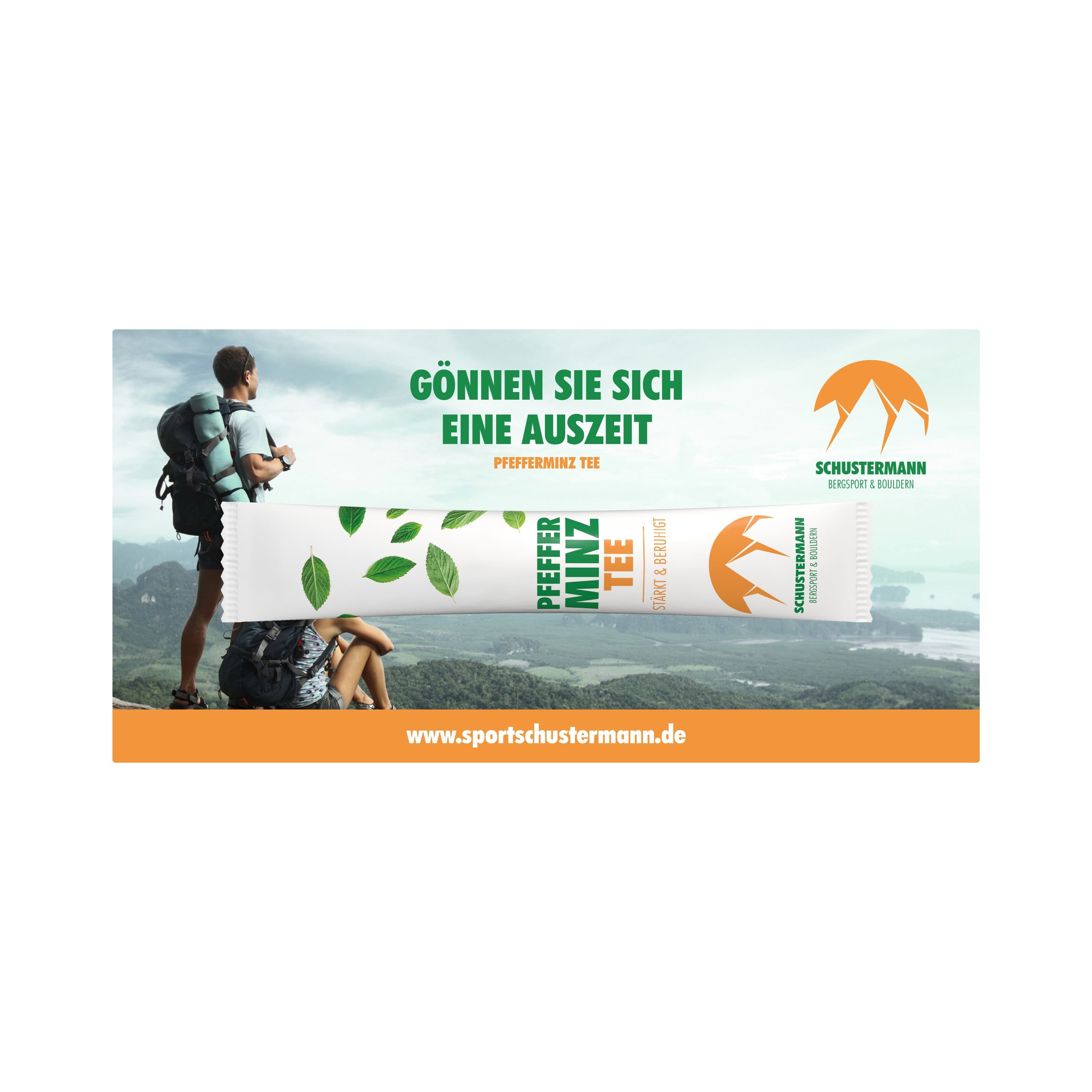 TeaFlyer DIN Lang mit TeaStick-968