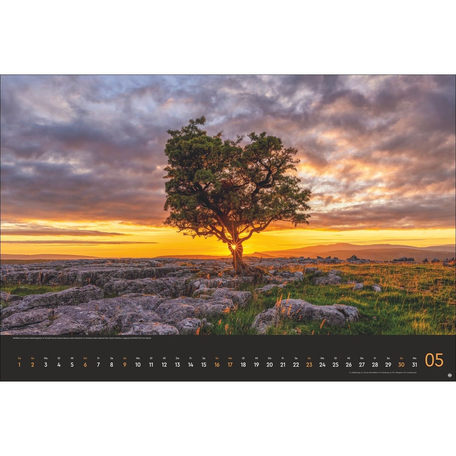 Horizonte Edition - Landschaft & Natur Kalender-187
