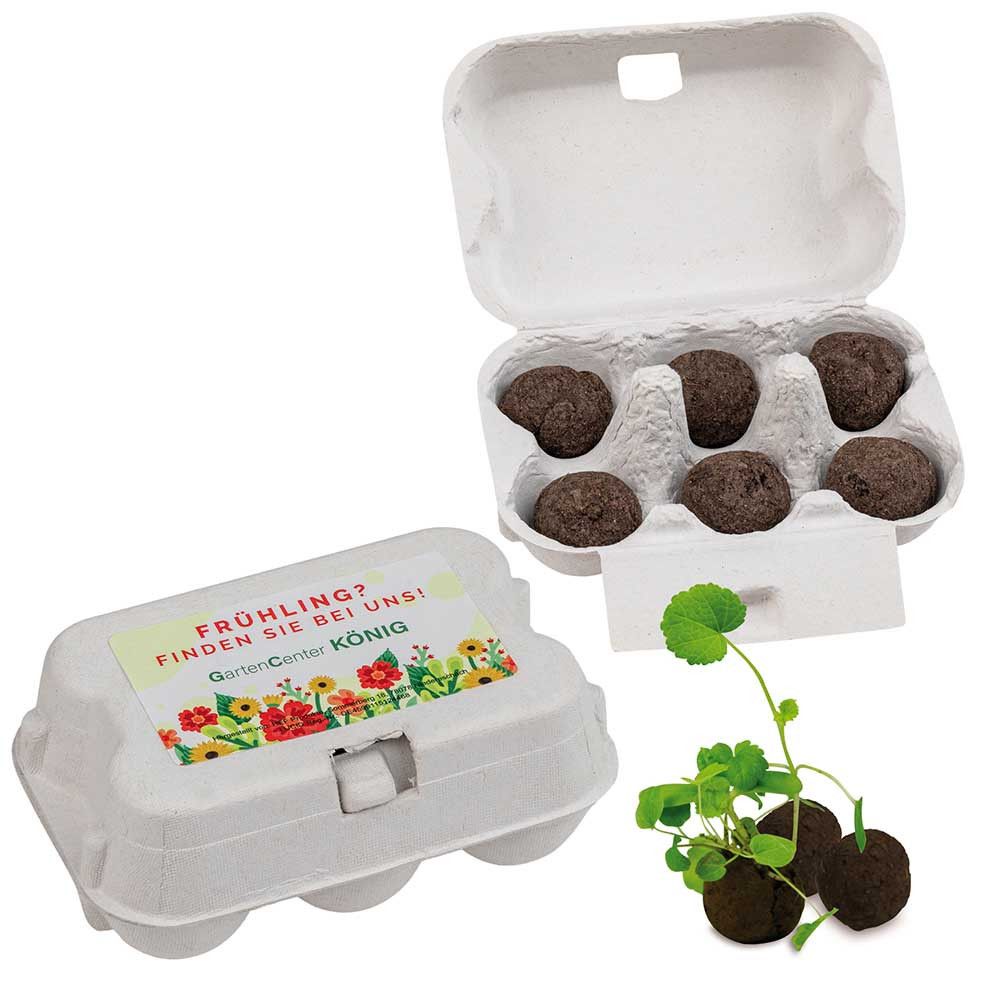 Sixpack - Flower-Balls Midi mit Samen mit Samen-75