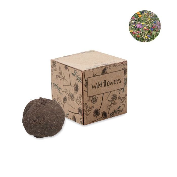 Saat-Set Wildblumen BOMBI - beige-872