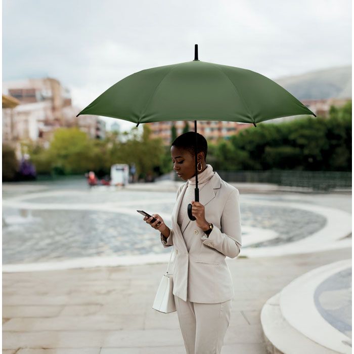 Windproof Regenschirm 23" BRELA - grün-308