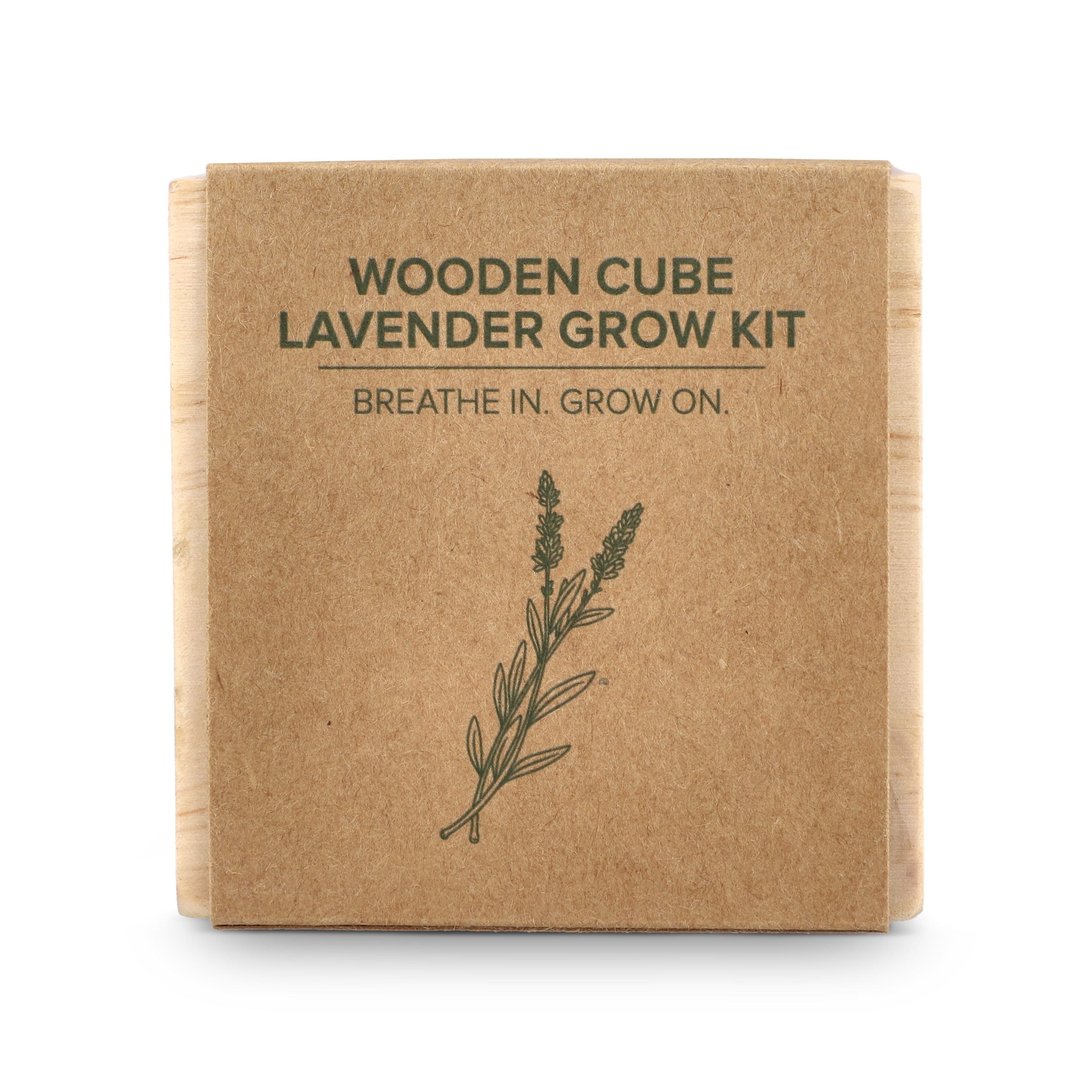 FSC-Holzpflanzgefäß-Set – Lavendel - natur-717