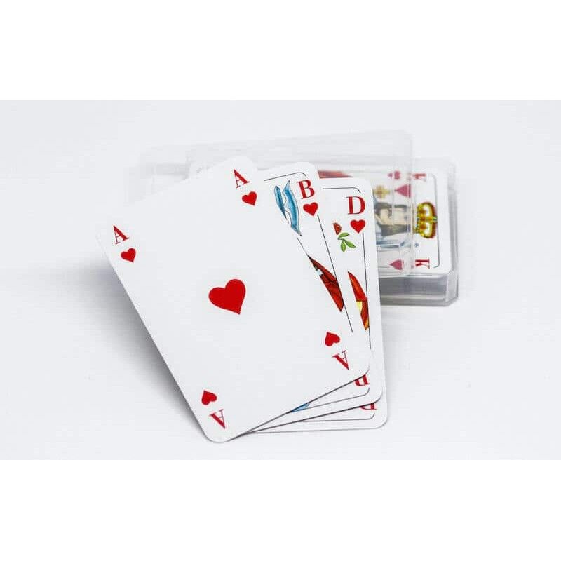 Spielkarten Skat in Klarsichtetui-265