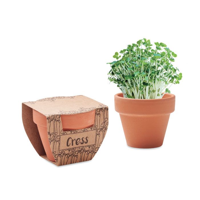 Terrakotta-Topf Kresse CRESS POT - holz-535