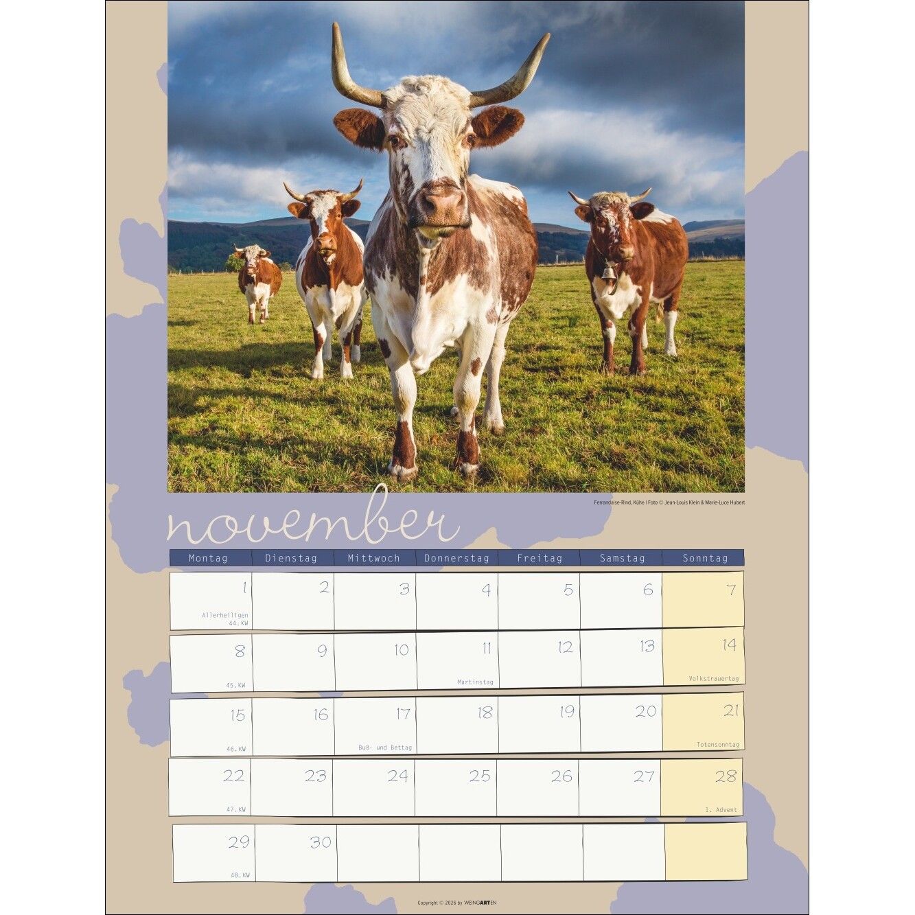 Kuh Kalender-559