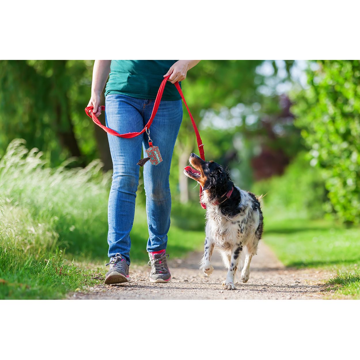 Pavesave Individueller RPET Hundebeutelspender - weiß-928