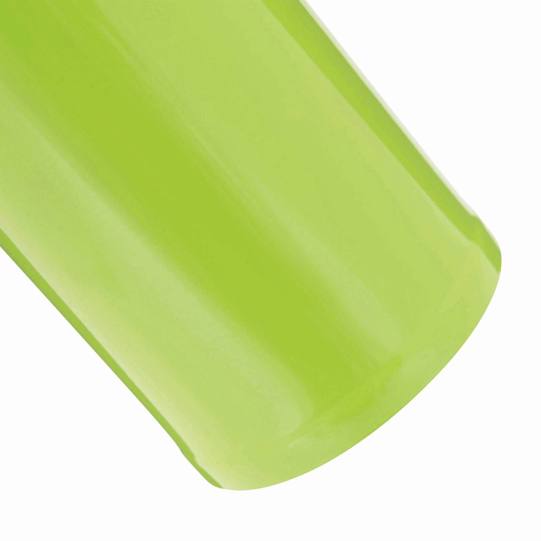 Vakuum-Trinkflasche OOLONG - apfelgrün-450