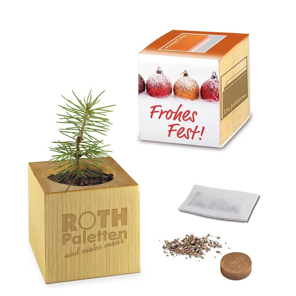 Pflanz-Holz Maxi Xmas mit Fichtensamen - Fichte, 1 Seite gelasert-858