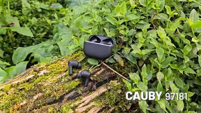 vimeo-1175449699.jpg