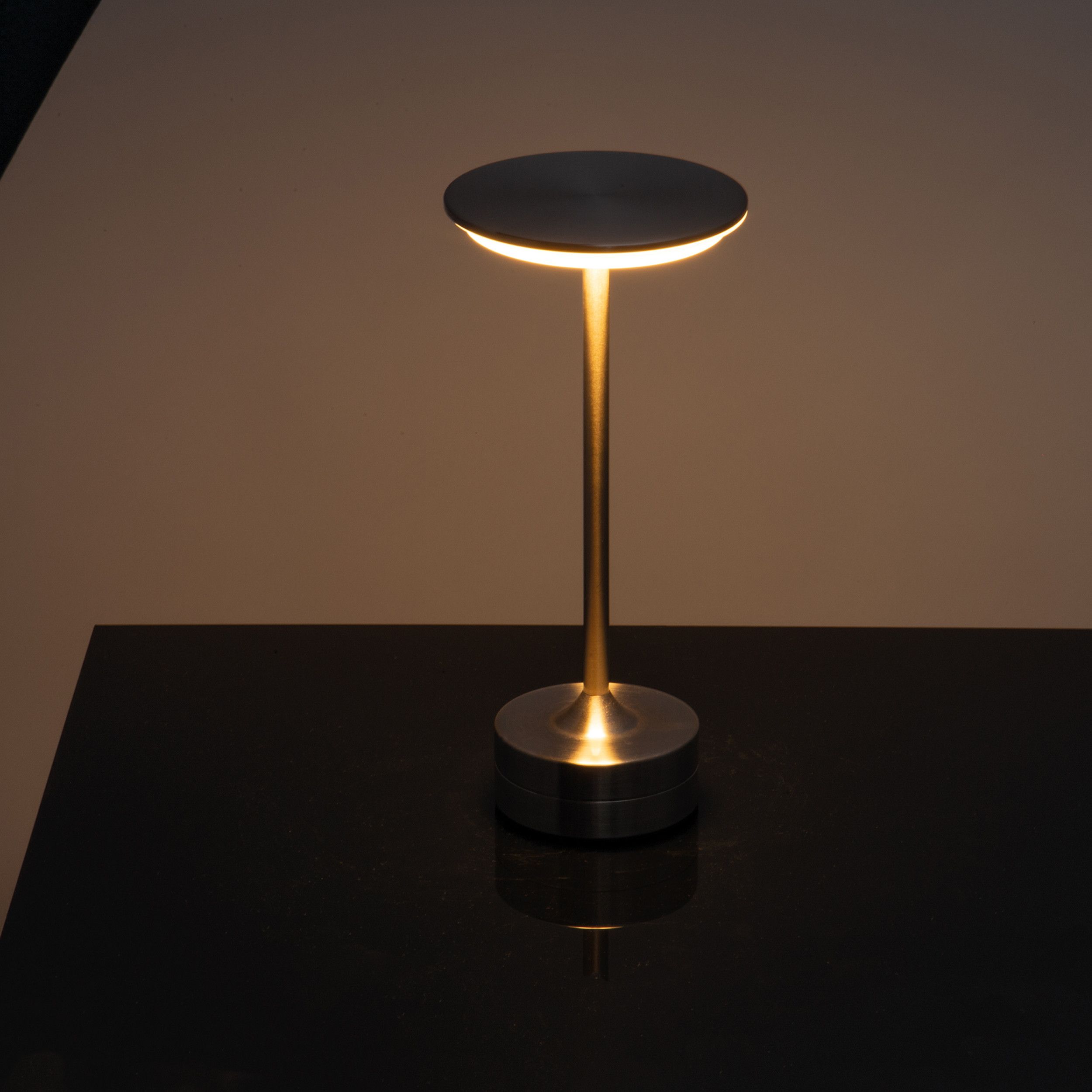 Tischlampe aus Edelstahl - silbergrau-877