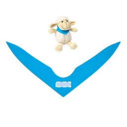 Positionsbild P09-56-0502235_ROSI_z_Scarf_T-RT-DT_T.png