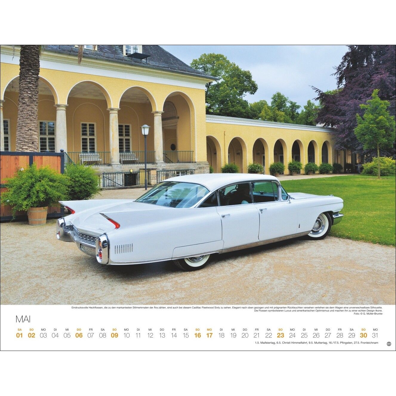 Legendäre Autos Posterkalender-807