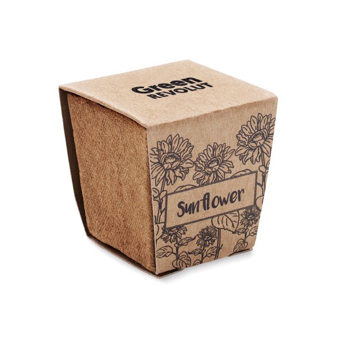Pflanz-Set Sonnenblume SUNFLOWER KIT - beige-16