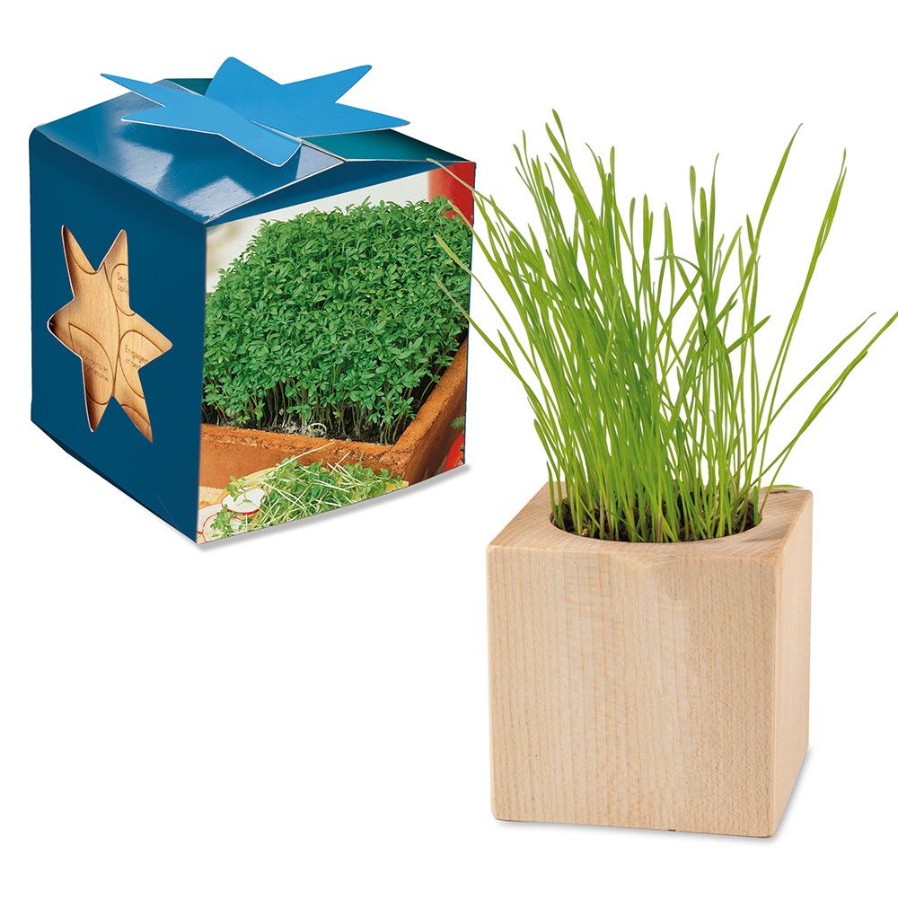 Pflanz-Holz Maxi Star-Box mit Samen - Gartenkresse, 2 Seiten gelasert-70