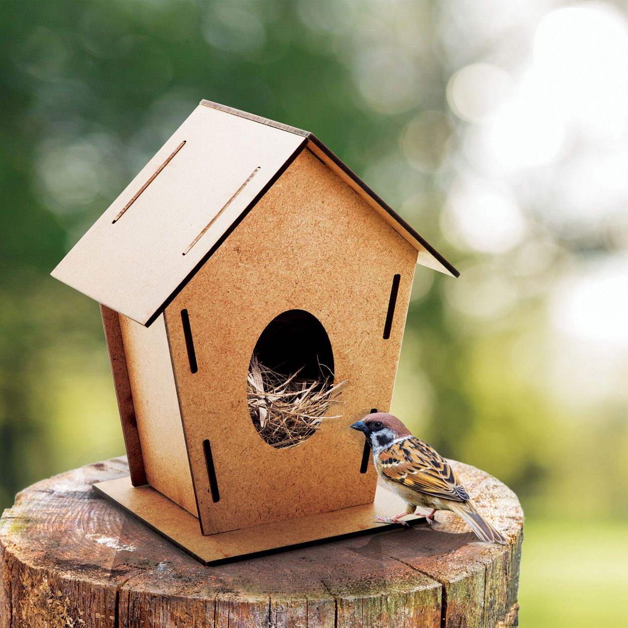 Vogelhaus Tomtit - natur-658