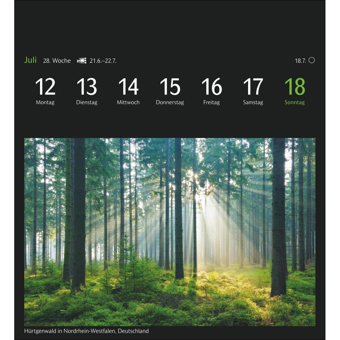 GEO Magische Natur Postkartenkalender-46