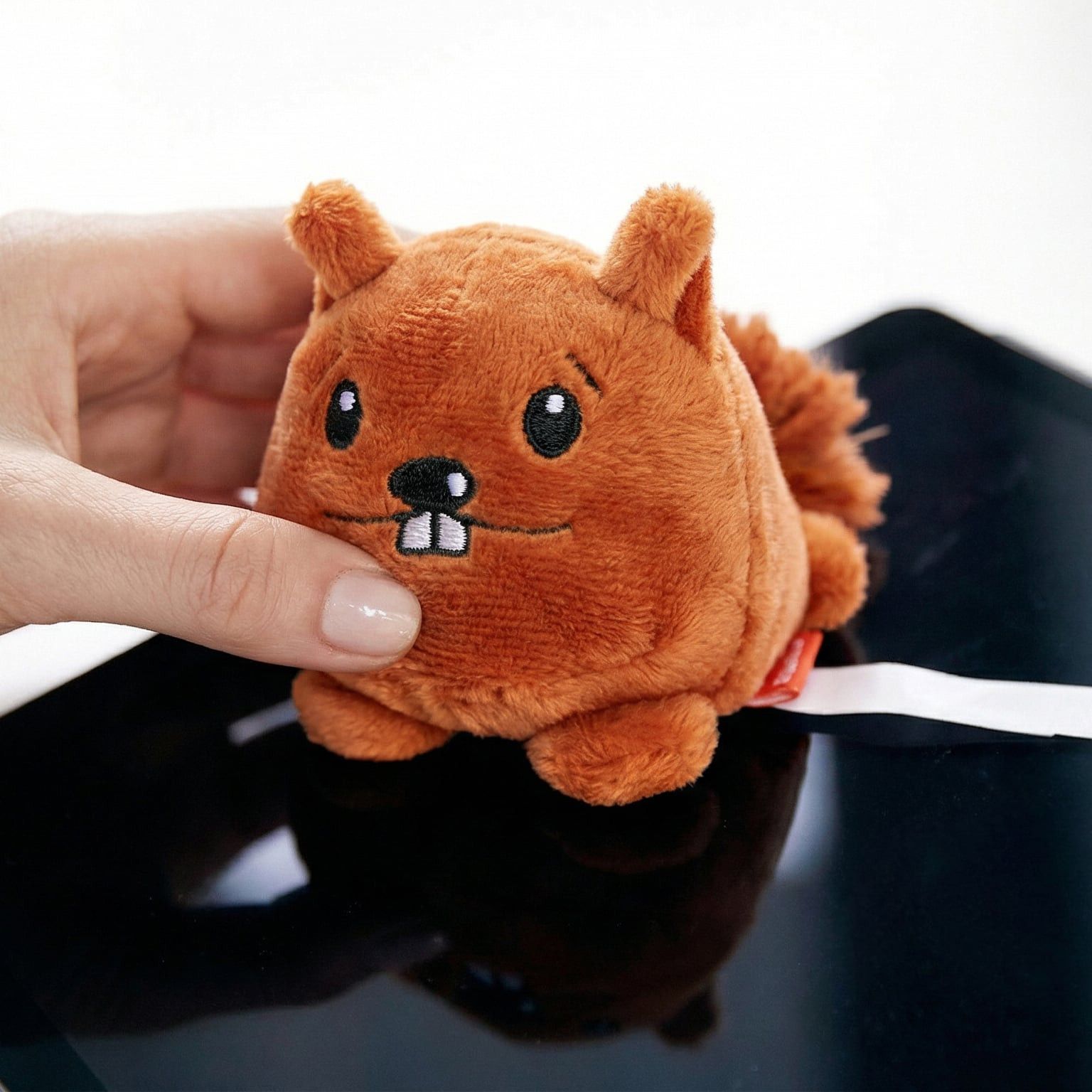 MiniFeet® Bildschirmreiniger Schmoozies® Eichhörnchen - braun-796