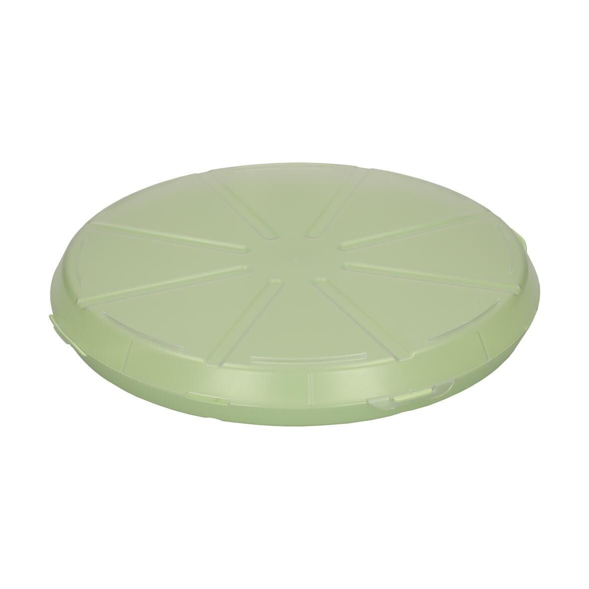 Pizzabox ToGo - geselliges grün - transparent-814