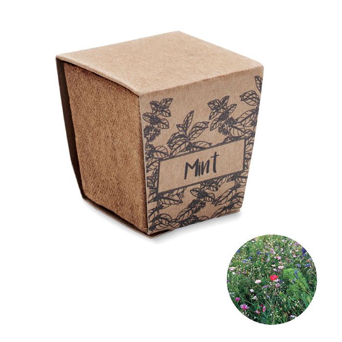 Pflanz-Set Minze MINT KIT - beige-690