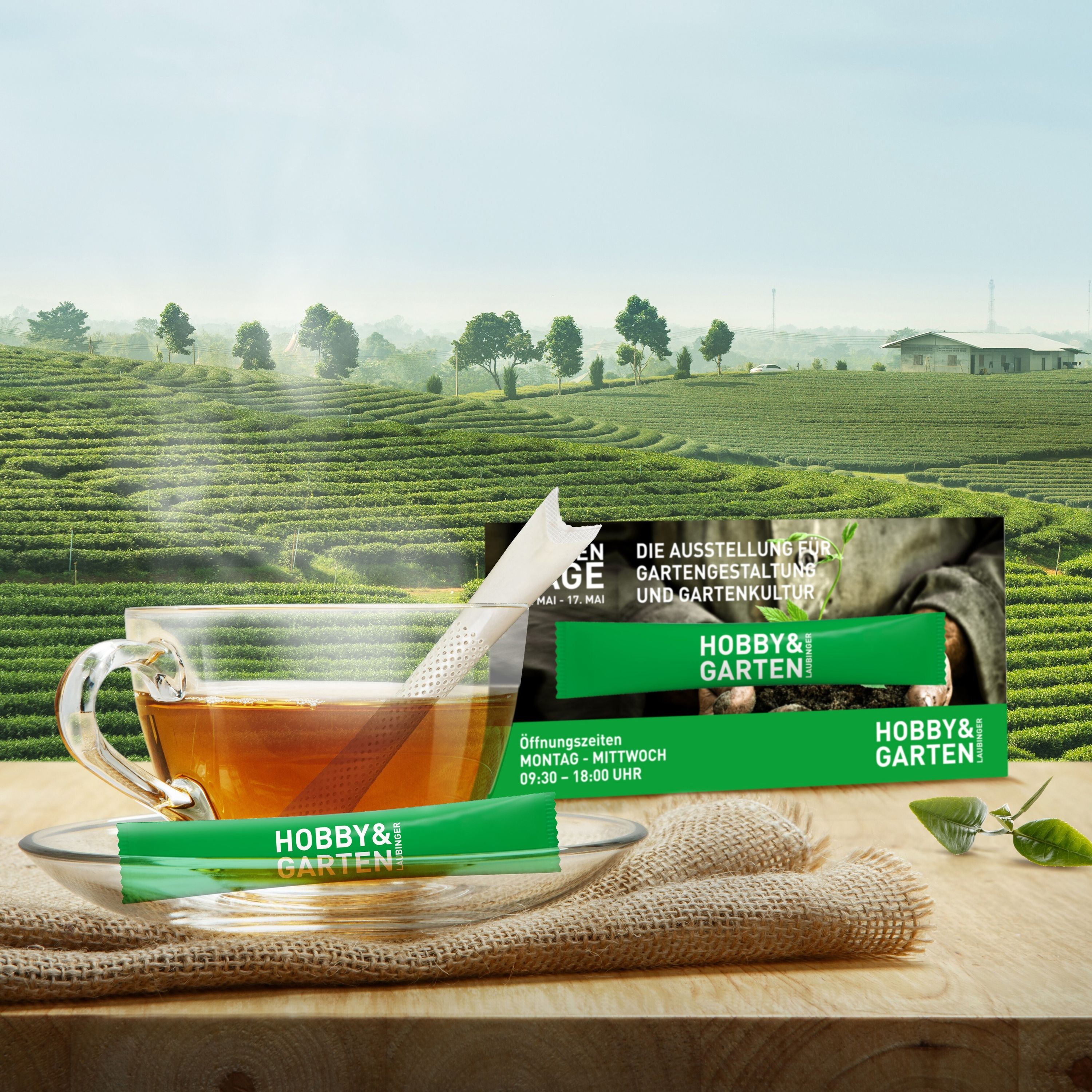 TeaFlyer DIN Lang mit TeaStick-17
