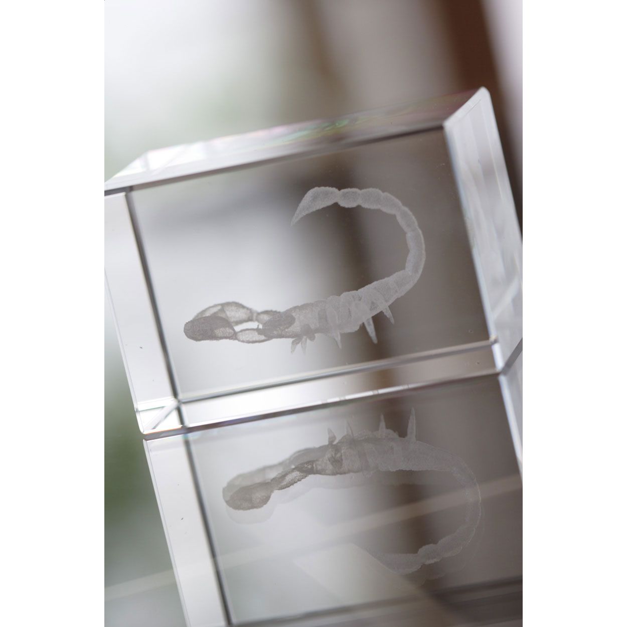 Macon Glas-Quader - transparent-241