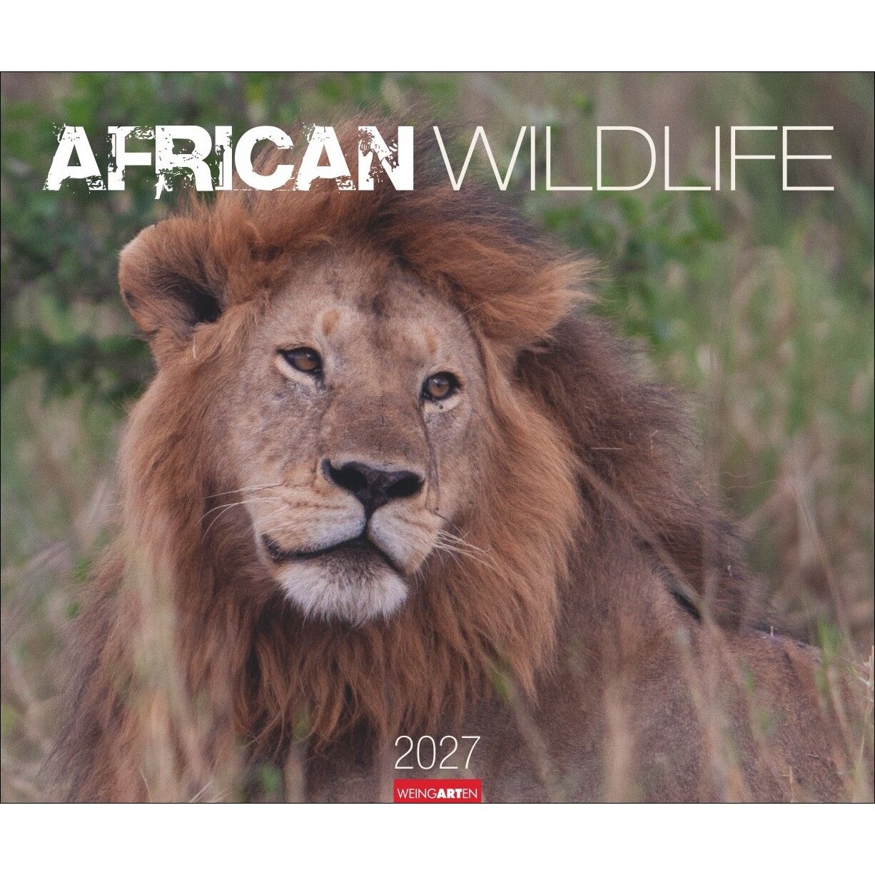 African Wildlife - Tiere  Kalender-656