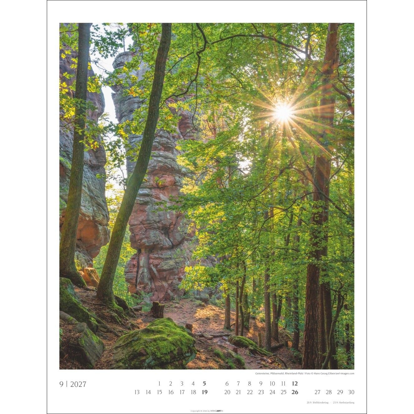 Heimische Wälder - Landschaft & Natur Kalender-44