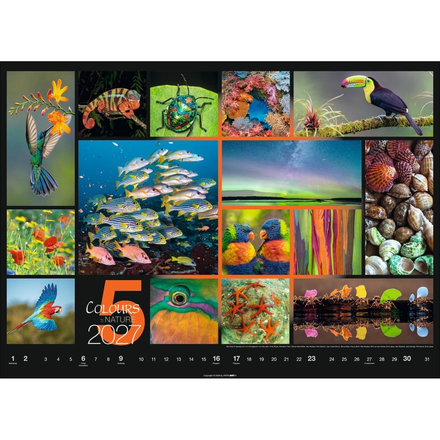 Colours of Nature - Landschaft & Natur Kalender-239