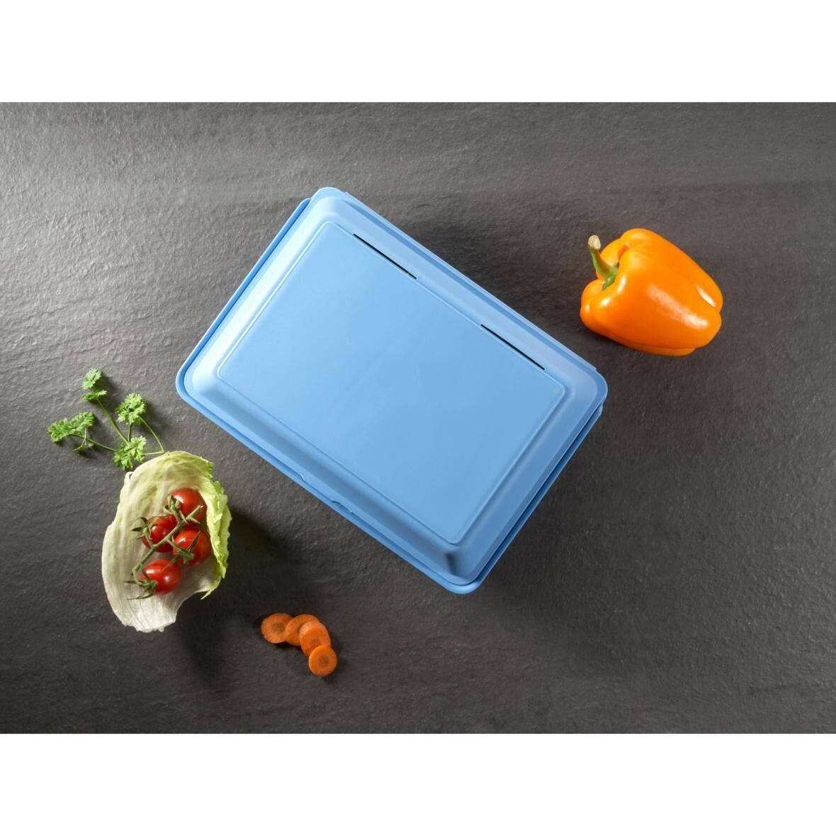Menübox ToGo XL, ohne Trennstege - beständiges braun-589