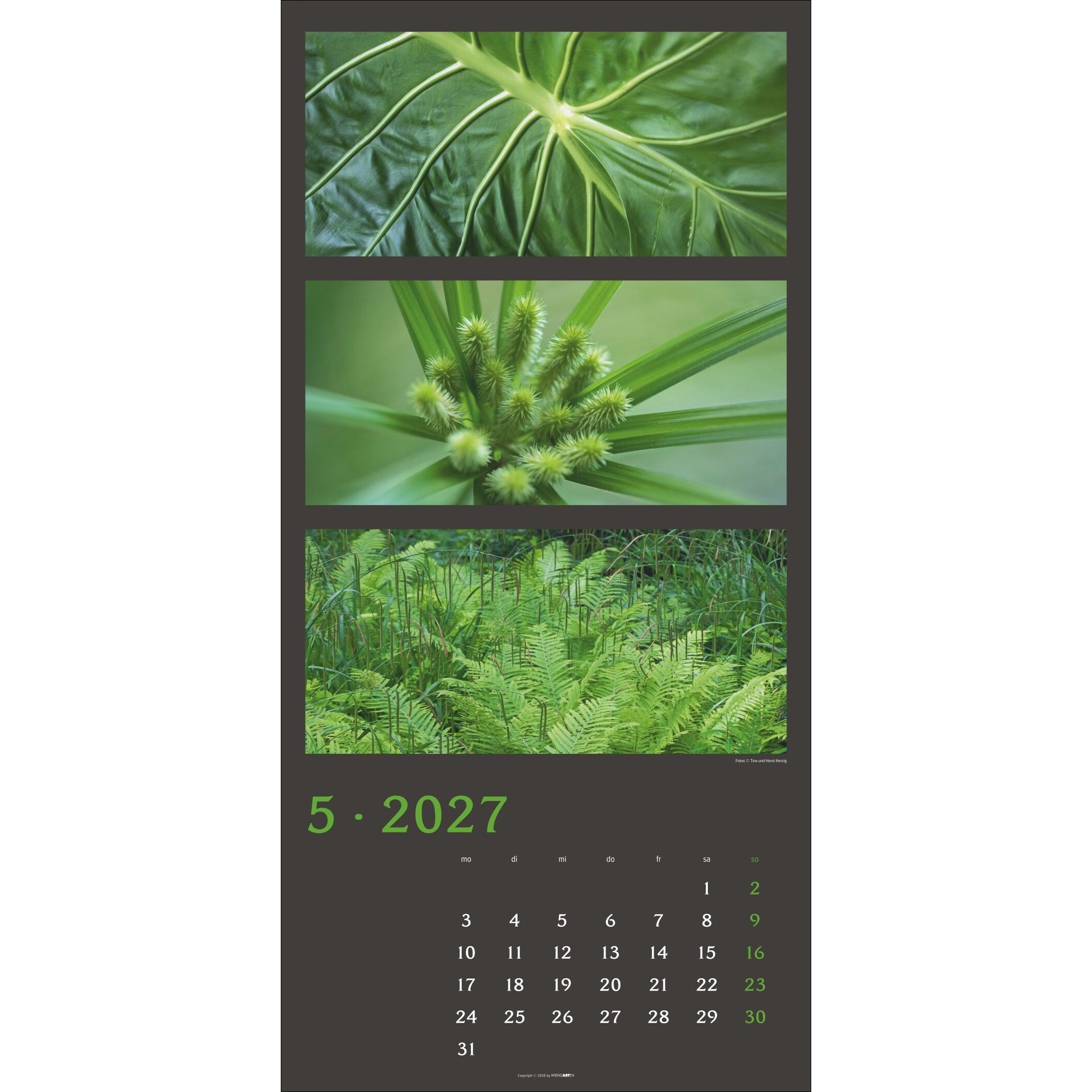 Die Farben der Natur - Landschaft & Natur Kalender-555