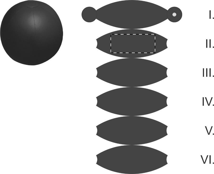 Veredelungsposition Segment 2